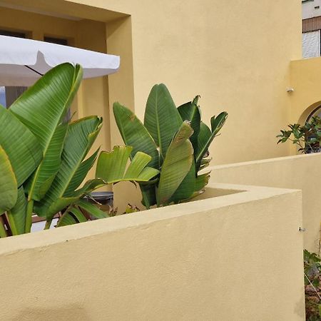 Casa Da Acoteia Daire FAO Dış mekan fotoğraf