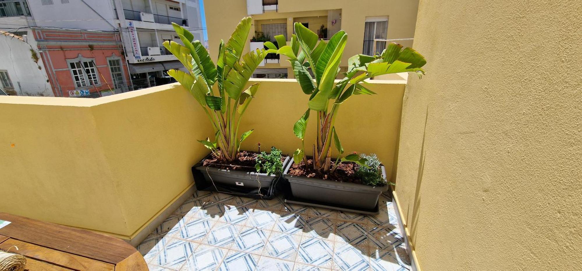 Casa Da Acoteia Daire FAO Dış mekan fotoğraf