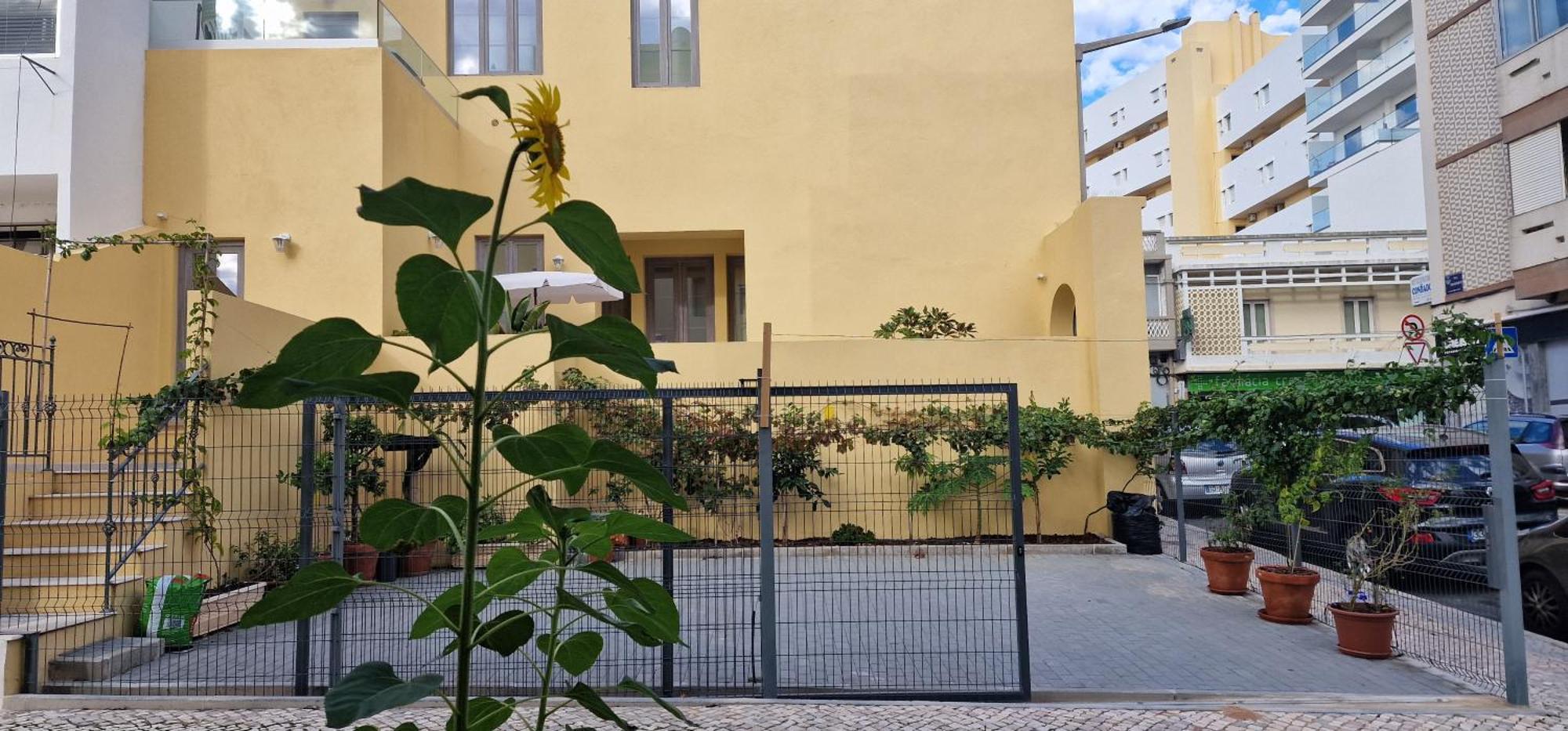 Casa Da Acoteia Daire FAO Dış mekan fotoğraf
